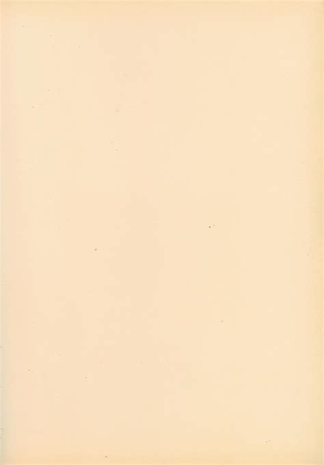 blank