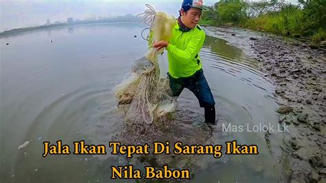 Jala Ikan Tepat Di Sarang Ikan Nila Babon YouTube