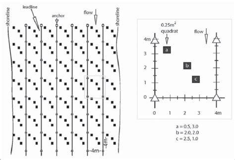 systematic sampling design illustration  close    depicts