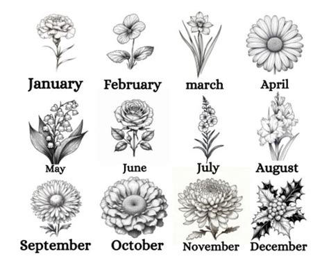Birth Month Flower Coloring Pages Birth Month Flowers All Birth Month