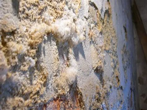 Efflorescence In Concrete: Causes, Prevention and Solution