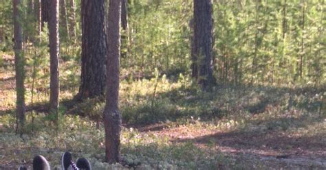 Северный летний загар | Пикабу