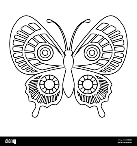 Vector Coloring Book Page For Adult Silhouette Of Elegant Butterfly In