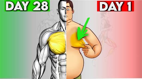 How To Reduce Chest Fat Exercises Youtube