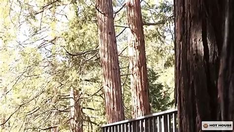 Derek Bolt Gay Porn Videos Porn Star Sex Scenes Xhamster