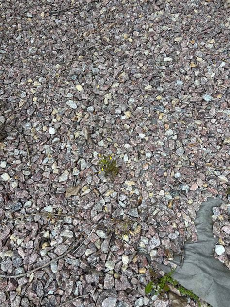 FREE red and white landscaping rocks - Landscaping Materials - Novi