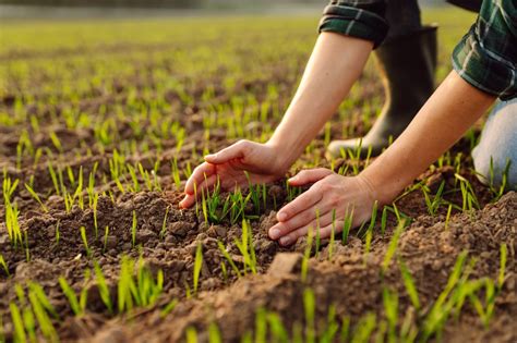 Polyurethane Hot Melt Adhesives HMPUR TAKA