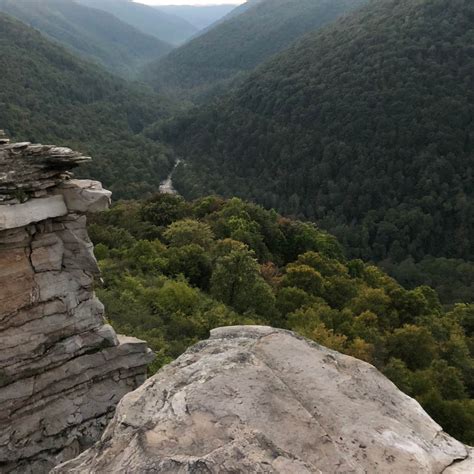 Monongahela National Forest The Dyrt