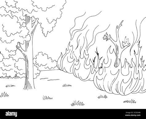 Forest Landscape Drawing Black And White