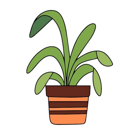 Premium Vector Houseplant Colored Outline Hand Drawn Houseplant In