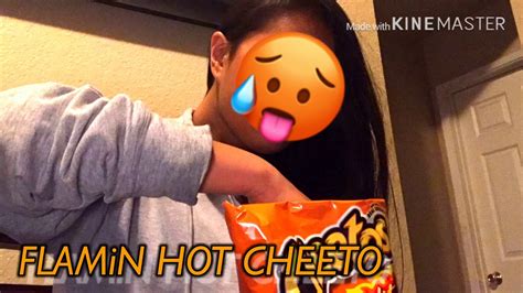 FLAMiN HOT CHEETO DevanyPlayzYT MEME RAP YouTube