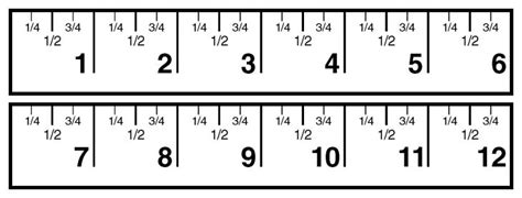 Great Ruler For Teaching Half And Quarter Inch Measurement - Printable ...