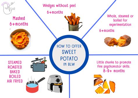 Does Sweet Potato Baby Food Cause Constipation at Brandon Premo blog