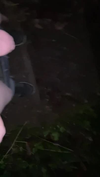 Risky Almost Caught Taking Steamy Piss Down The Stairs In The Woods Gay Porn XHamster