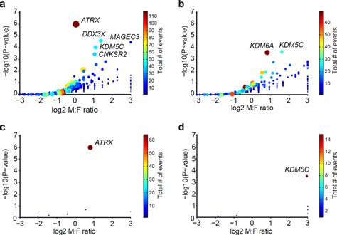 Tumor Suppressor Genes That Escape From X Inactivation Contribute To Cancer Sex Bias PMC
