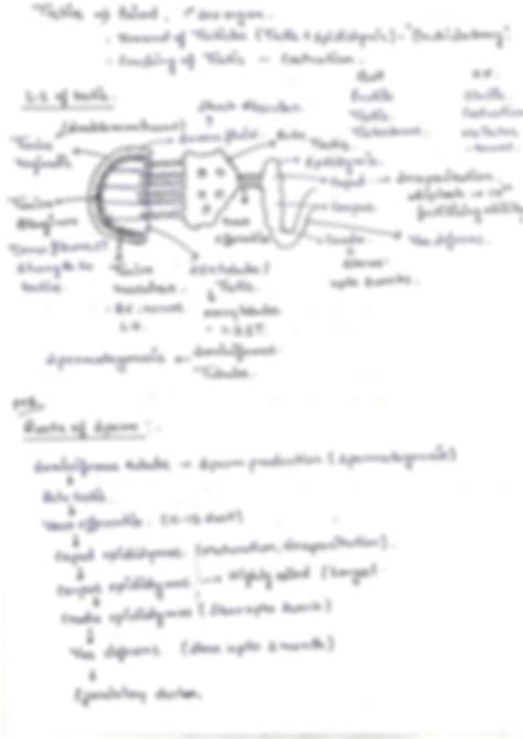 SOLUTION Human Reproduction Part 1 Studypool