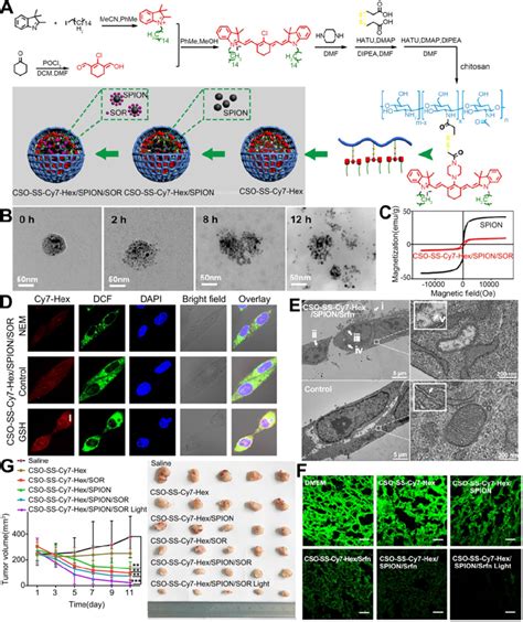 Nps Encapsulating Sor Spions And Cy Hex For Induction Of Lipid