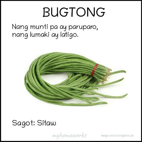 My Homeworks Bugtong Na May Sagot At Larawan