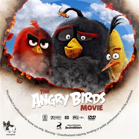 The Angry Birds Movie 2016 R1 Custom Dvd Label Dvdcovercom