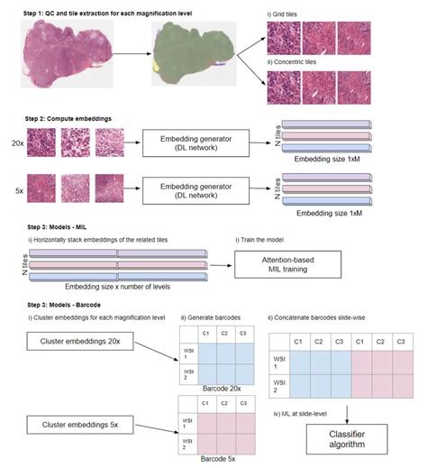 Figure From A Comparison Between Single And Multi Scale Approaches