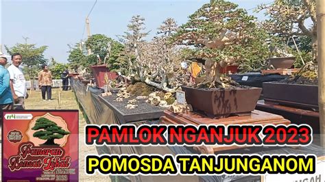 Pameran Bonsai Lokal Nganjuk Pomosda Tanjunganom Youtube