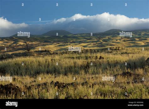 Big Islandkohala Mountainscoastbig Islandusahawaiiamerica