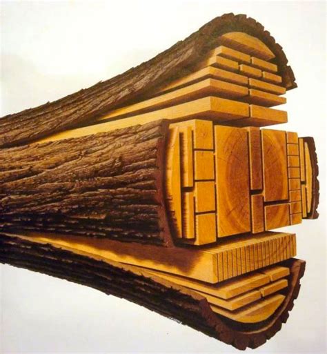 How To Cut Wood Into Timber Or Veneer Lordparquet Floor A