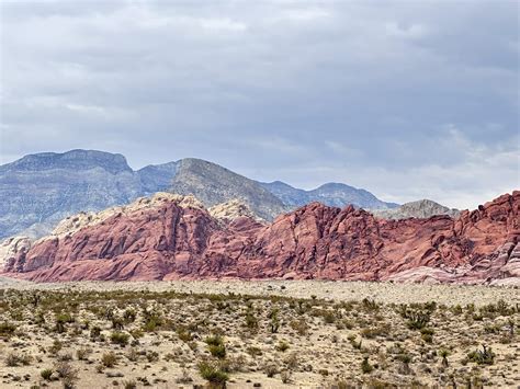Memorial Planning and Care at La Paloma Funeral Services Summerlin 13