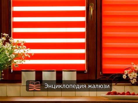 Жалюзи Зебра, рулонные шторы Зебра на пластиковые окна | Энциклопедия ...