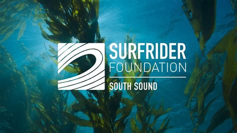 Year In Review and Kelp: Hidden Treasure of the Salish Sea Short ...