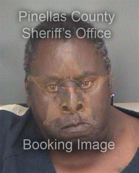 Sex Offender Accused Of Molesting Fellow Resident At Palm Harbor Nursing Home Palm Harbor FL