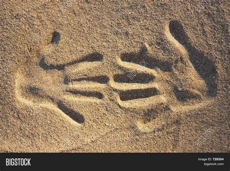 Two Handprints Sand Image & Photo (Free Trial) | Bigstock