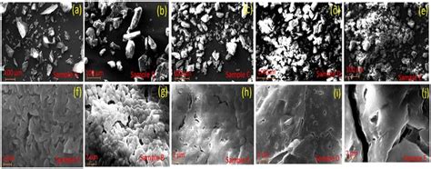 Scanning electron micrographs with 500 X (top panel) and 15000 X ... 