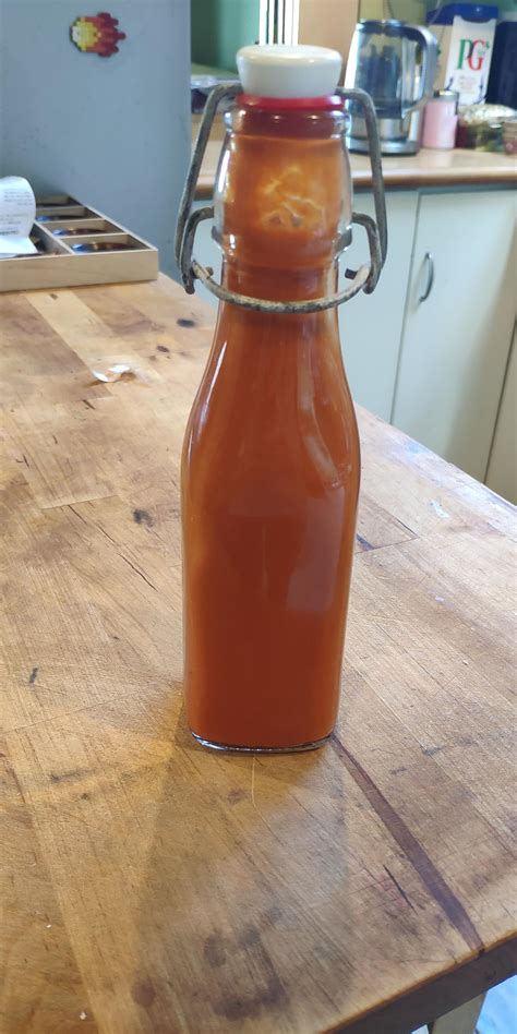 Hot Sauce Fermentation Finished R Fermentation