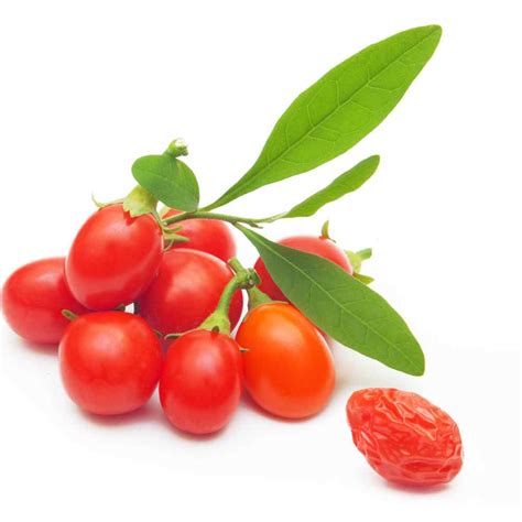 Goji Berry Fruit Plant Seeds AKA Wolfberry