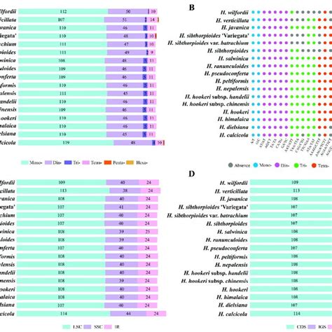 Analyses Of Simple Sequence Repeats Ssrs Among 17 Hydrocotyle