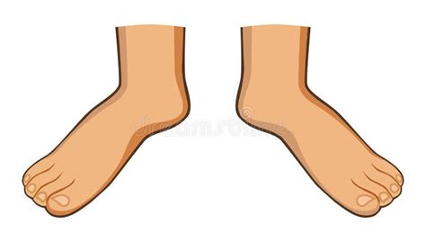 foots stock vector illustration  isolated thumb