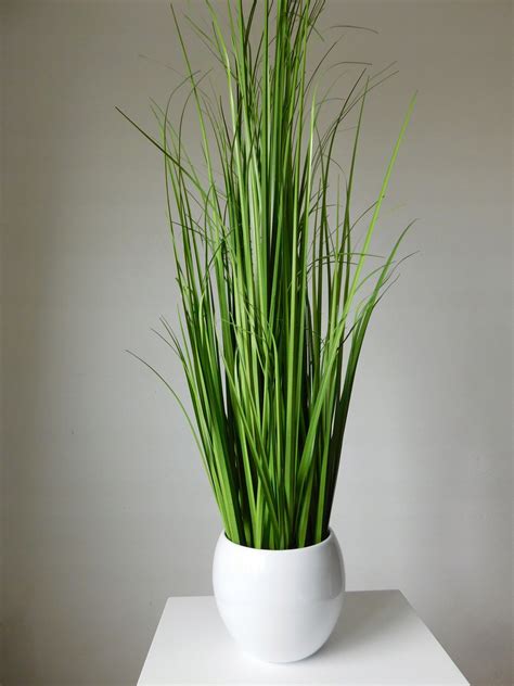 Трава в интерьере (62 фото) - красивые картинки и HD фото