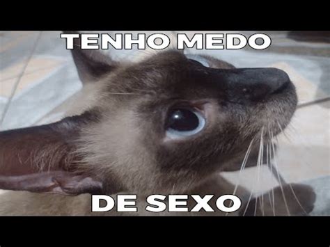 Mtg Tenho Medo De Sex Edit Funk Pet Youtube