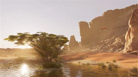 Flamingo Flying By Oasis In Assassins Creed Breathtaking This Game Is Gorgeous R Gaming