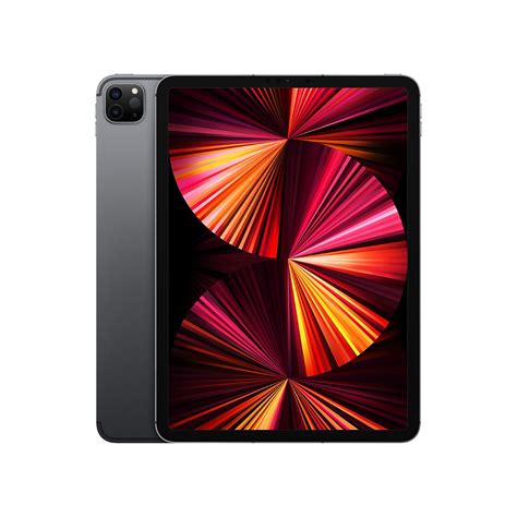iPad Pro 11-inch Wi-Fi + Cellular 256GB Space Gray 2021 (3rd Gen)
