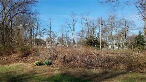 Edgemere Park | Sea Girt Conservancy