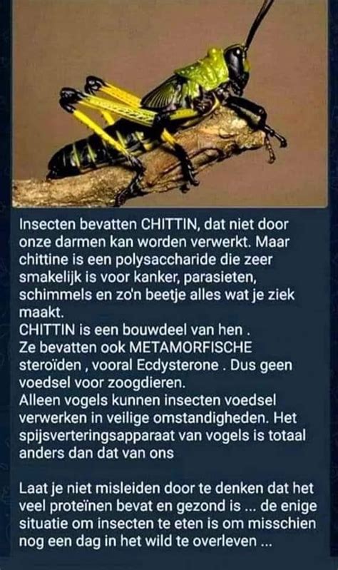 Repoman On Twitter RT MikeyBastion En Daarom Moeten We Insecten