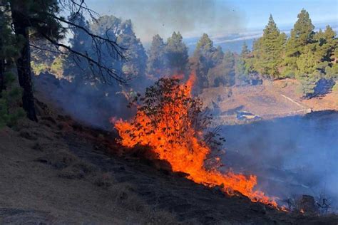 El Gobierno Canario Declara La Alerta Por Riesgo De Incendios