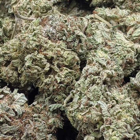 Budget Buds Black Jack Aaa Buy Weed Online Online Dispensary