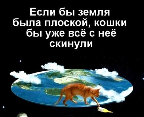 Если бы земля была плоской, кошки бы уже всё с неё скинули #коты #кошка ...