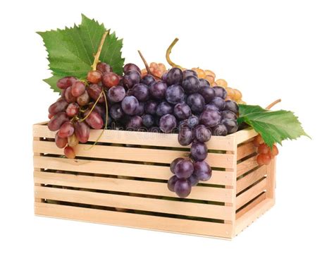 Uvas Diferentes Em Uma Caixa De Madeira Imagem De Stock Imagem De