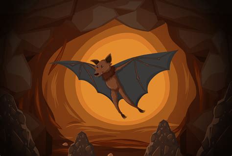 Bat in a cave 304273 Vector Art at Vecteezy