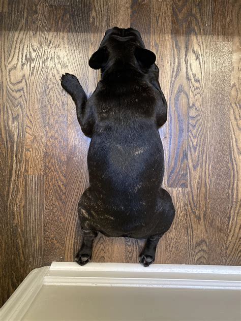 Best Costa Rican Images On Pholder Nature Is Fucking Lit Earth Porn And Mixed Race Girls