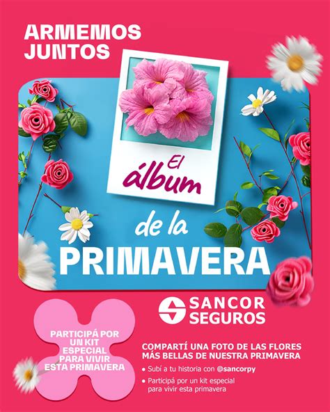 Sancor Seguros Paraguay | Asunción